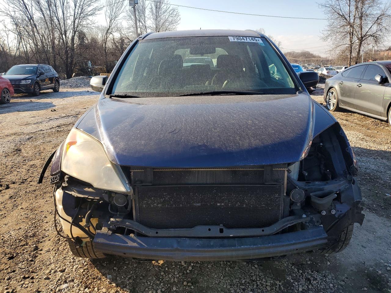 2010 HONDA CR-V LX photo 5