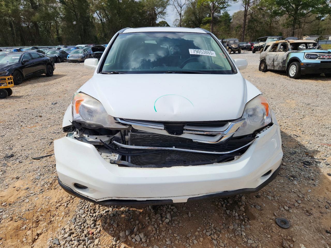 2010 HONDA CR-V EXL photo 5