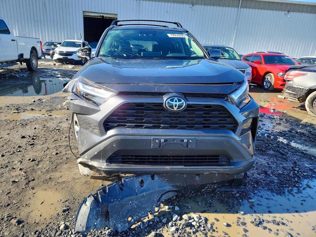 2025 TOYOTA RAV4 XLE PREMIUM photo 9