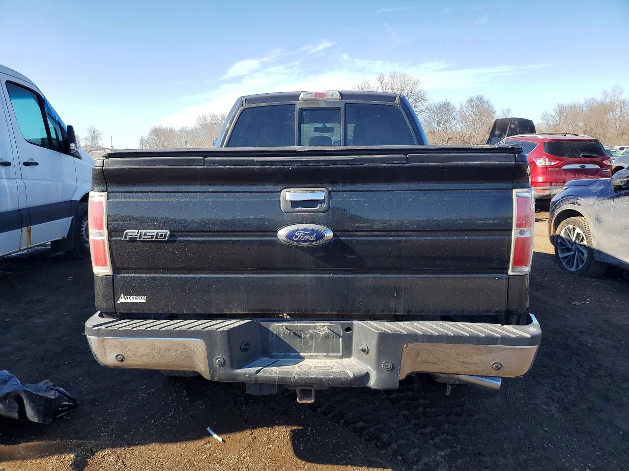 2014 FORD F150 photo 11