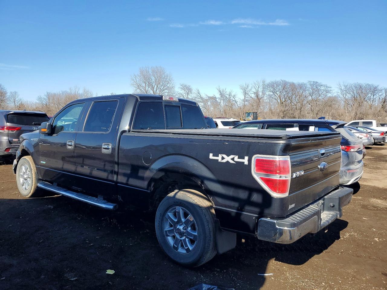 2014 FORD F150 photo 3