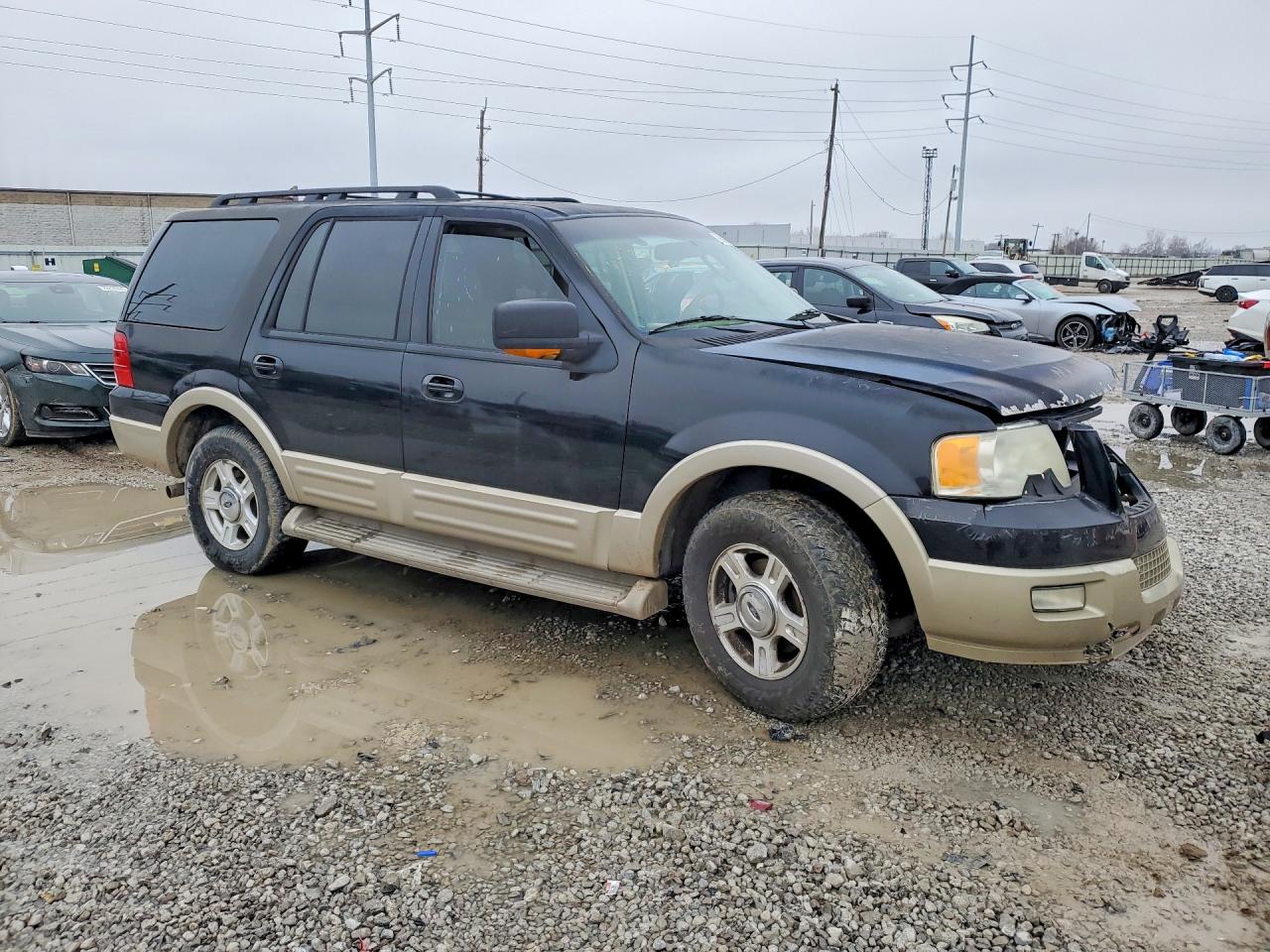 2006 FORD EXPEDITION EDDIE BAUER photo 4
