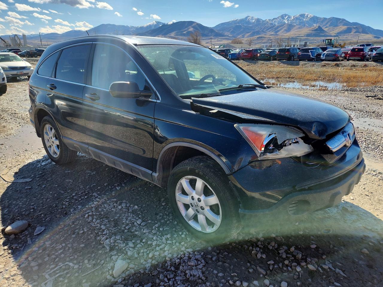 2009 HONDA CR-V EXL photo 7