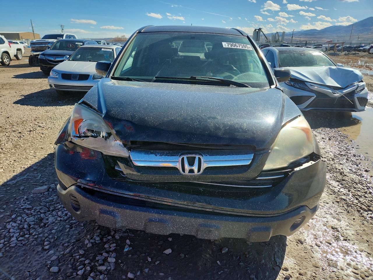 2009 HONDA CR-V EXL photo 9