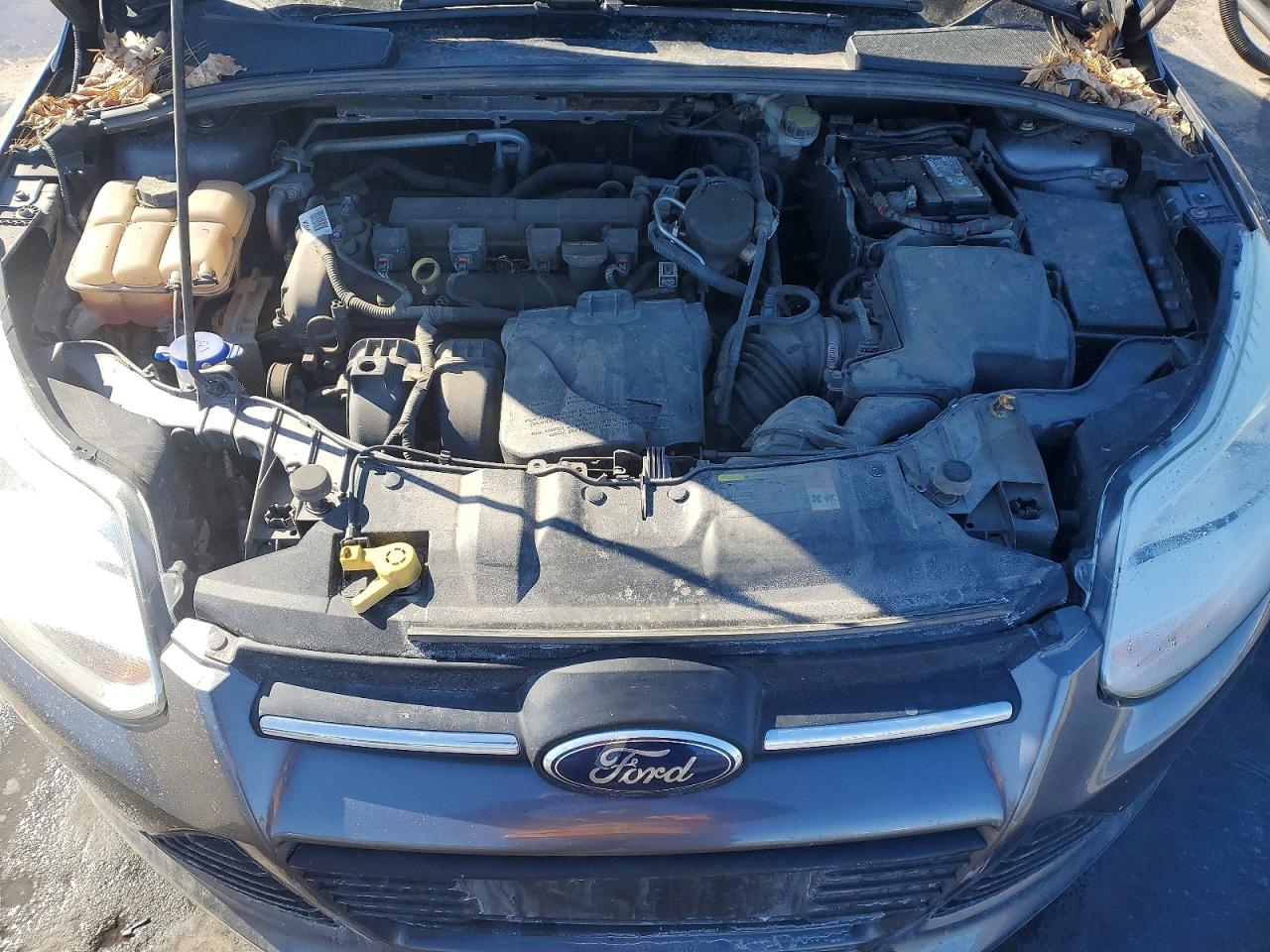 2014 FORD FOCUS SE photo 11