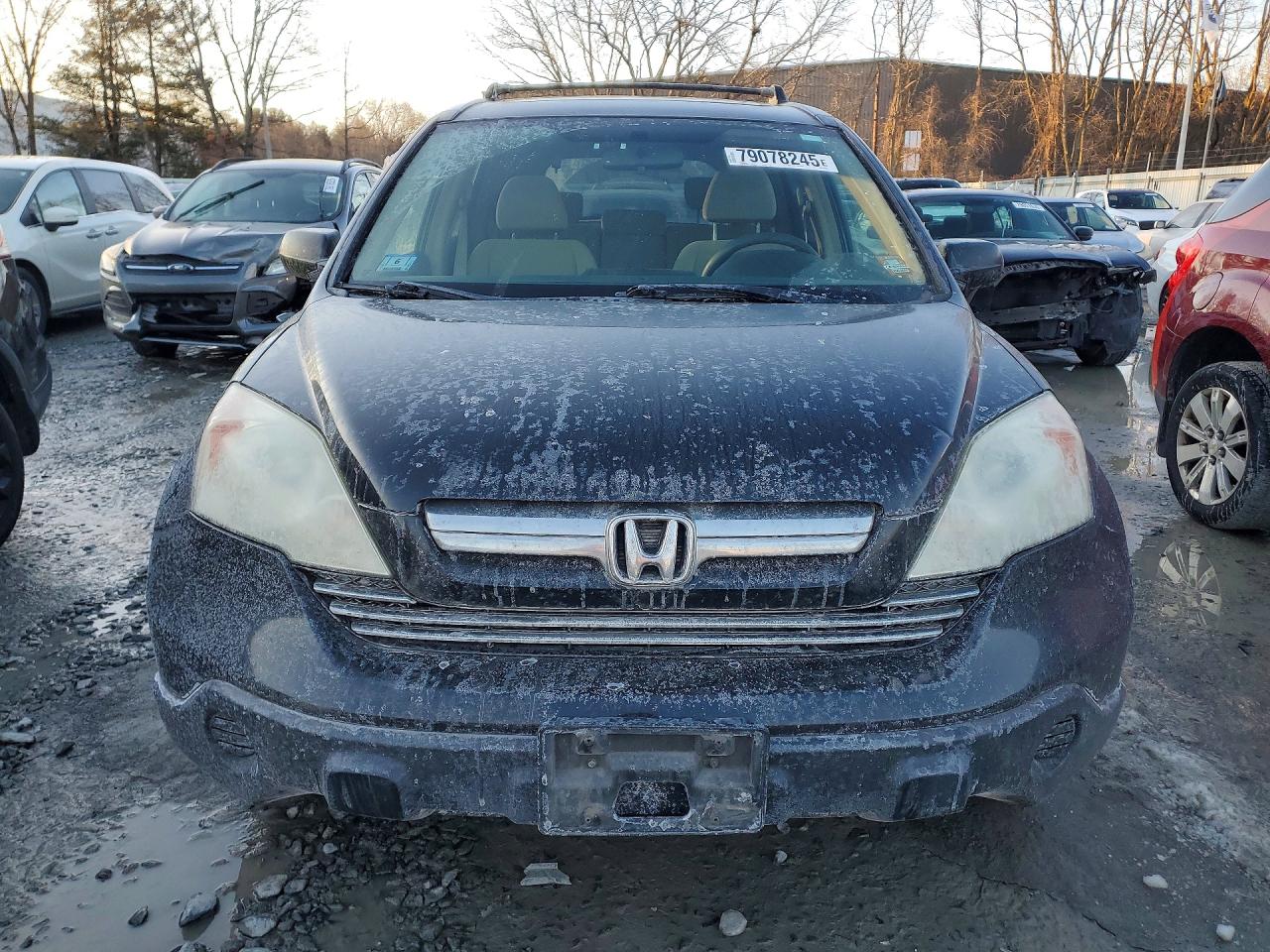 2009 HONDA CR-V EX photo 9