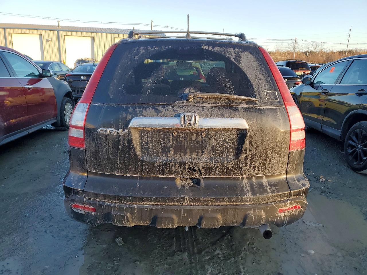 2009 HONDA CR-V EX photo 11