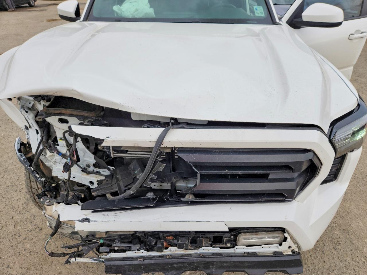 2024 TOYOTA TACOMA SR5 photo 31