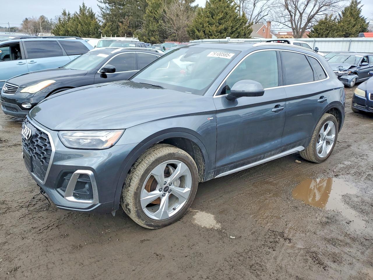 2025 AUDI Q5