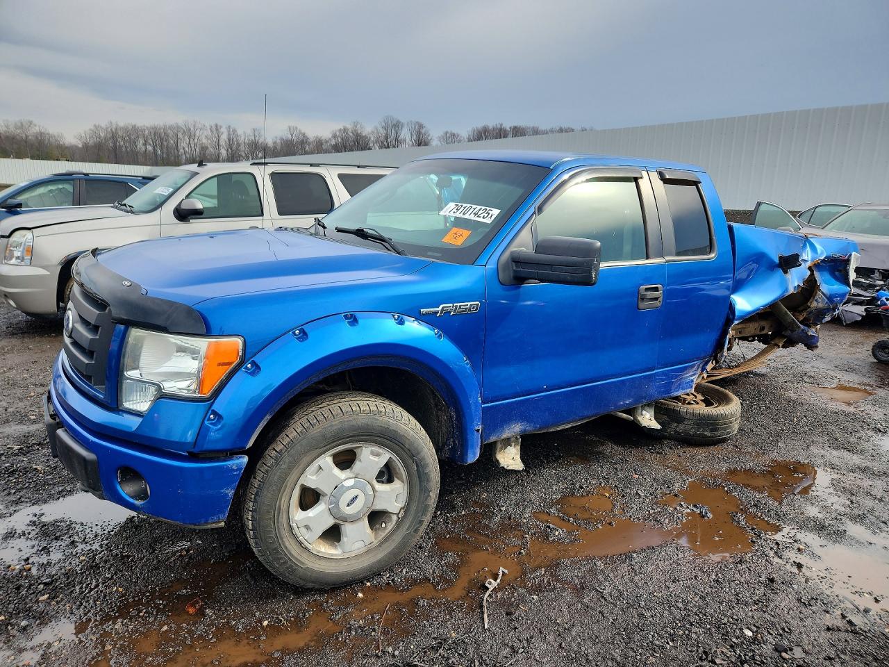 2010 FORD F150