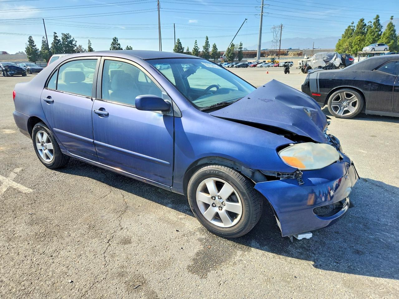 2007 TOYOTA COROLLA LE photo 10