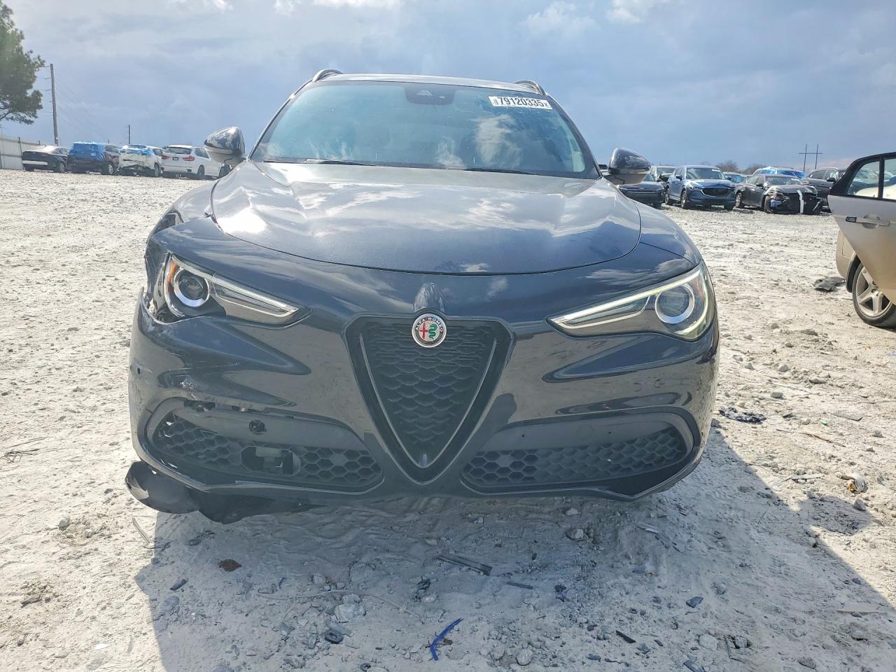 2021 ALFA ROMEO STELVIO SPORT photo 9