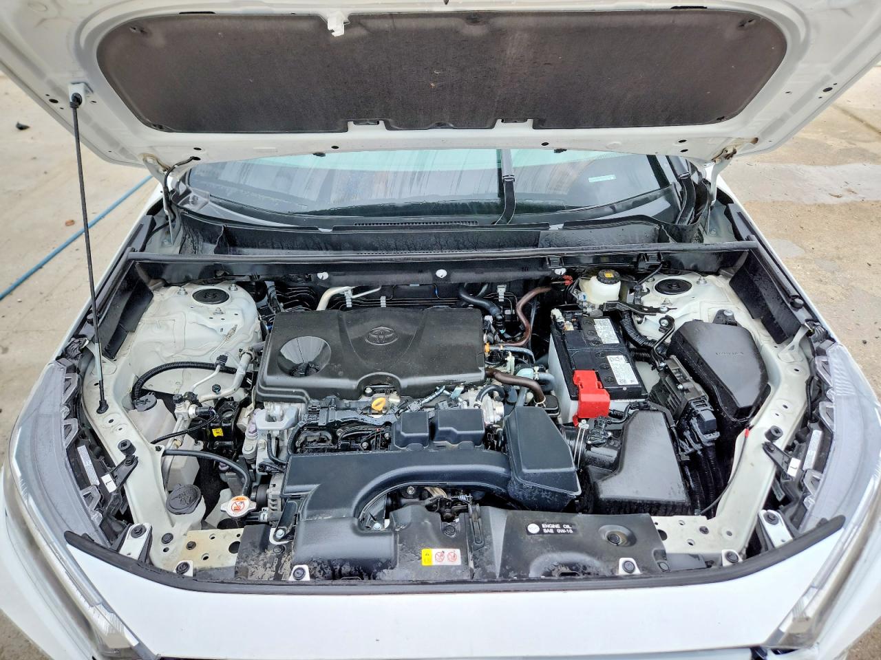 2025 TOYOTA RAV4 LE photo 12