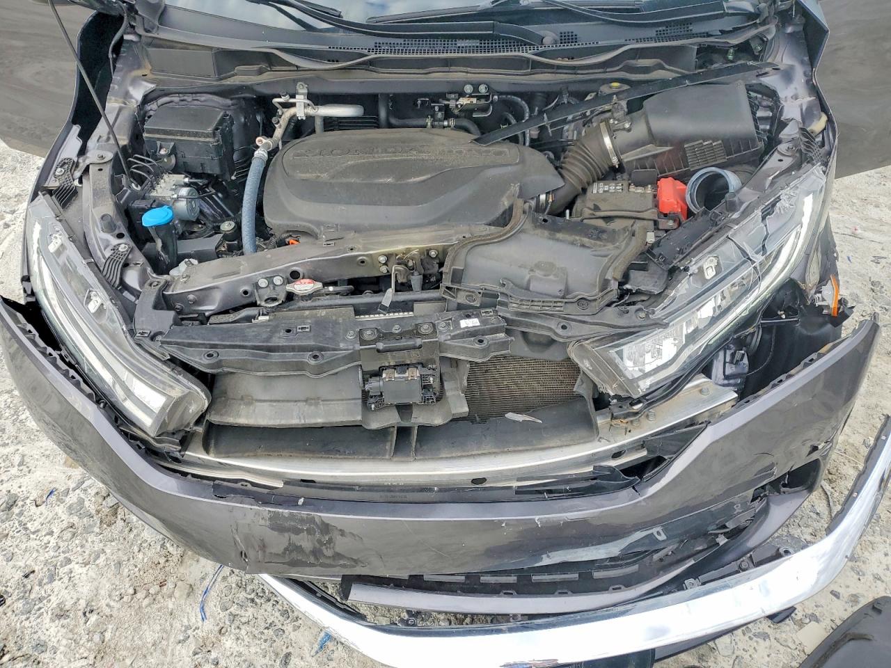 2024 HONDA ODYSSEY EXL photo 12