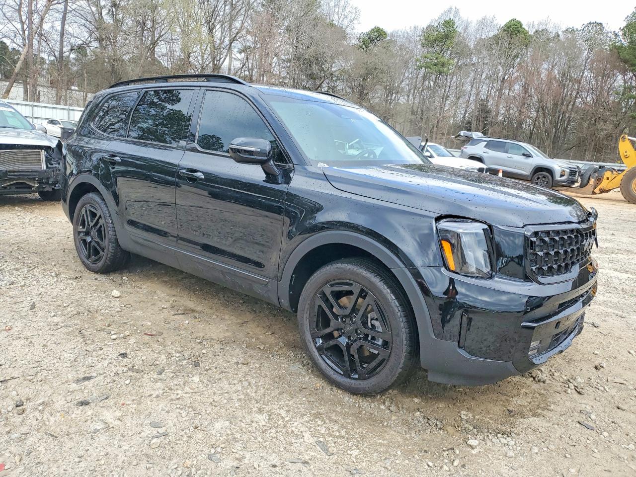 2025 KIA TELLURIDE SX X-LINE photo 10