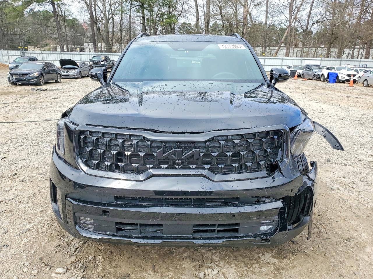 2025 KIA TELLURIDE SX X-LINE photo 13