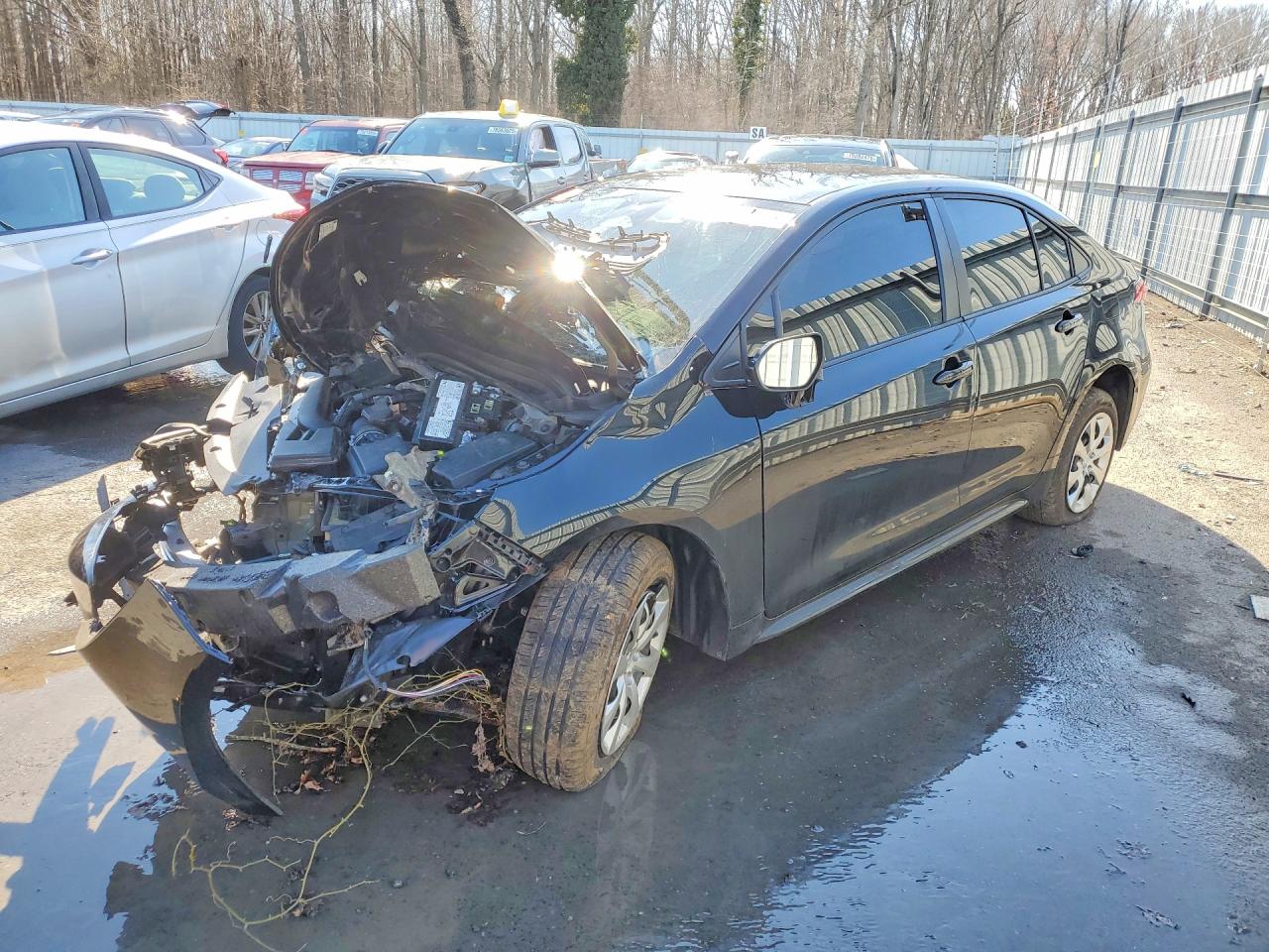 2024 TOYOTA COROLLA