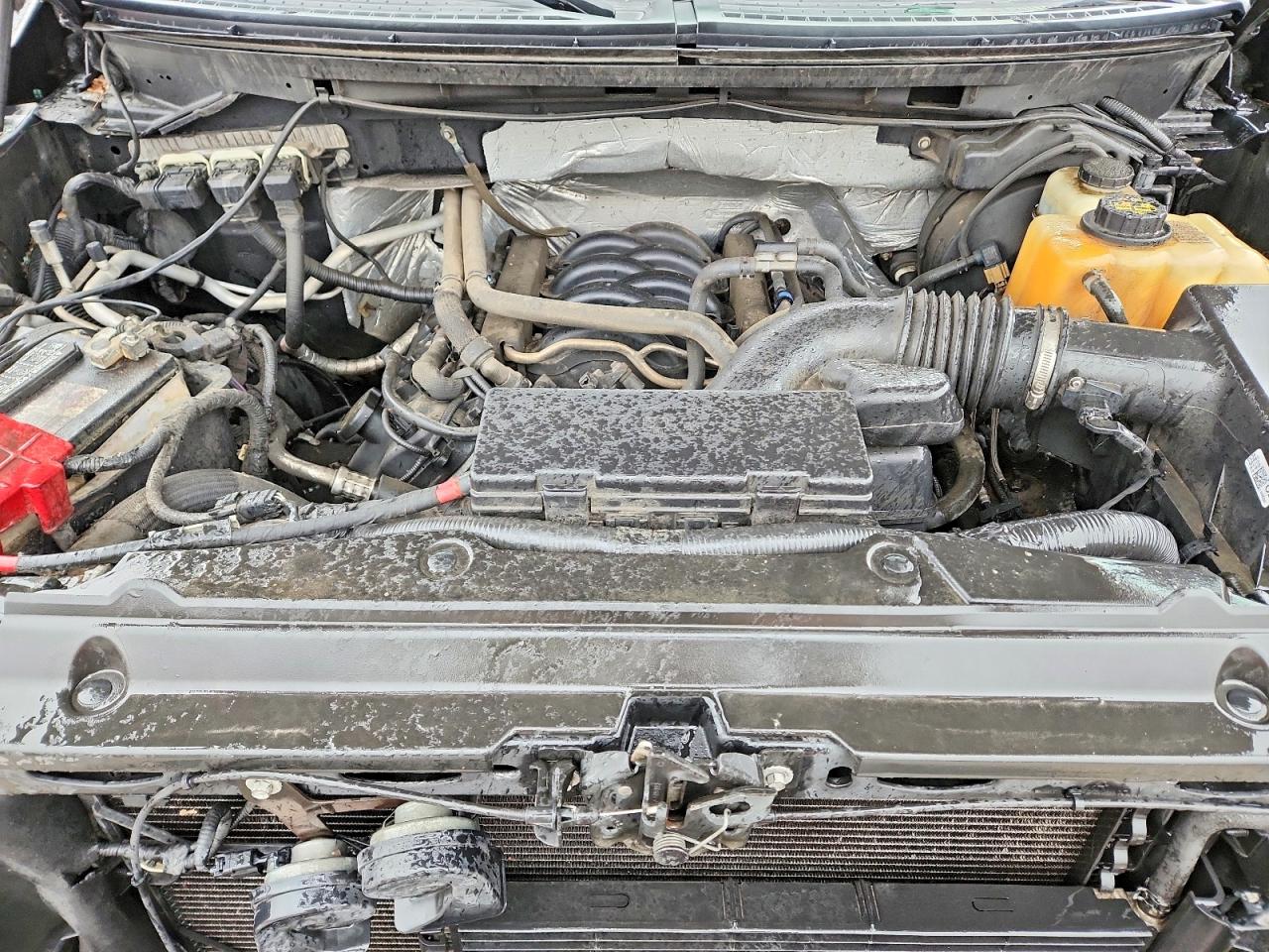 2013 FORD F150 SUPERCREW photo 11