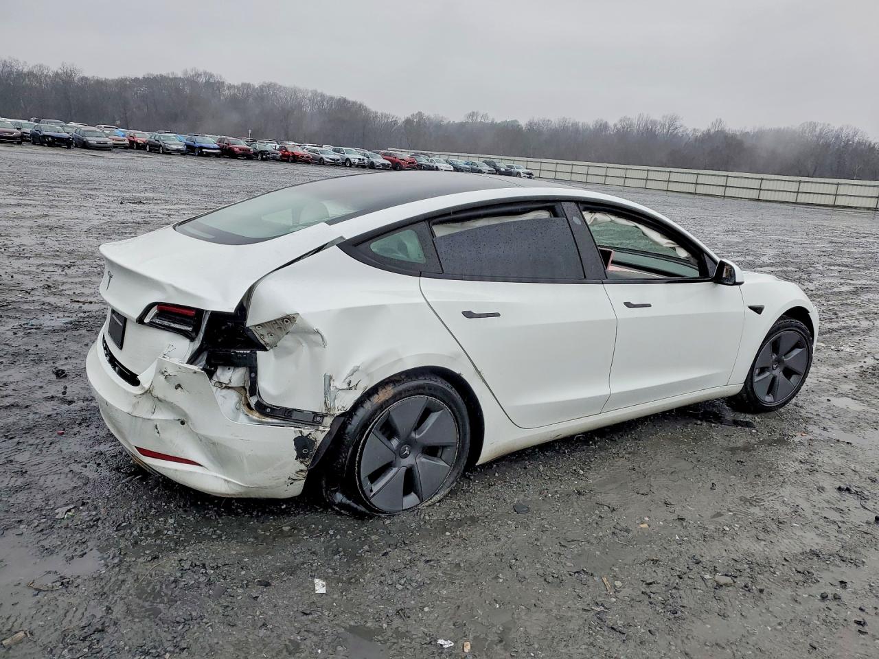 2021 TESLA MODEL 3 photo 5