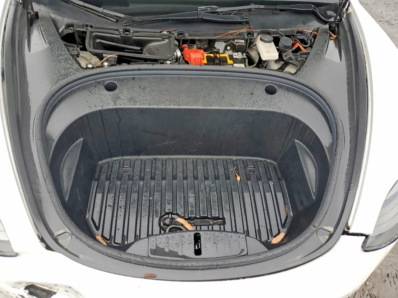 2021 TESLA MODEL 3 photo 21