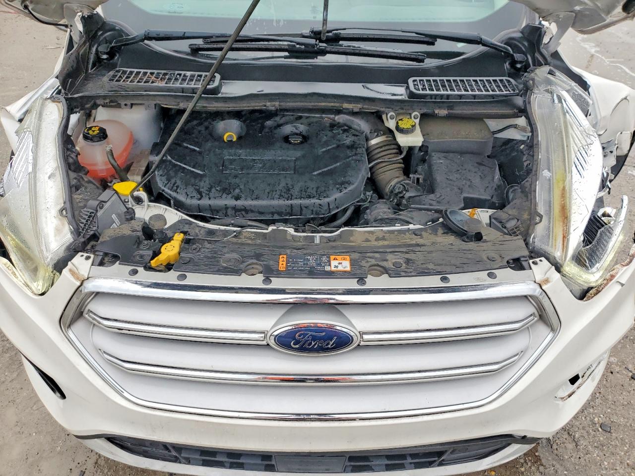 2019 FORD ESCAPE TITANIUM photo 12