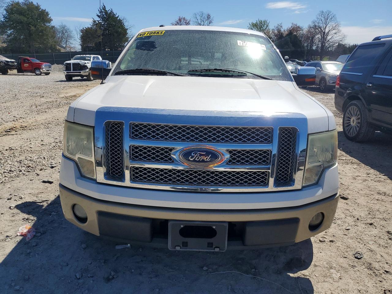 2010 FORD F150 photo 5