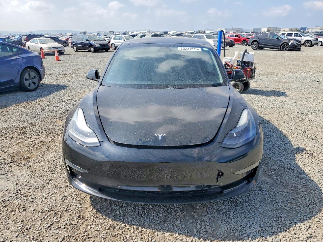 2021 TESLA MODEL 3 photo 9