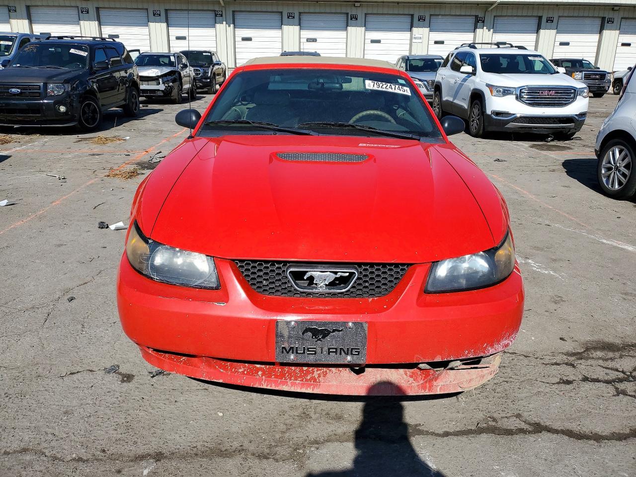2001 FORD MUSTANG photo 5