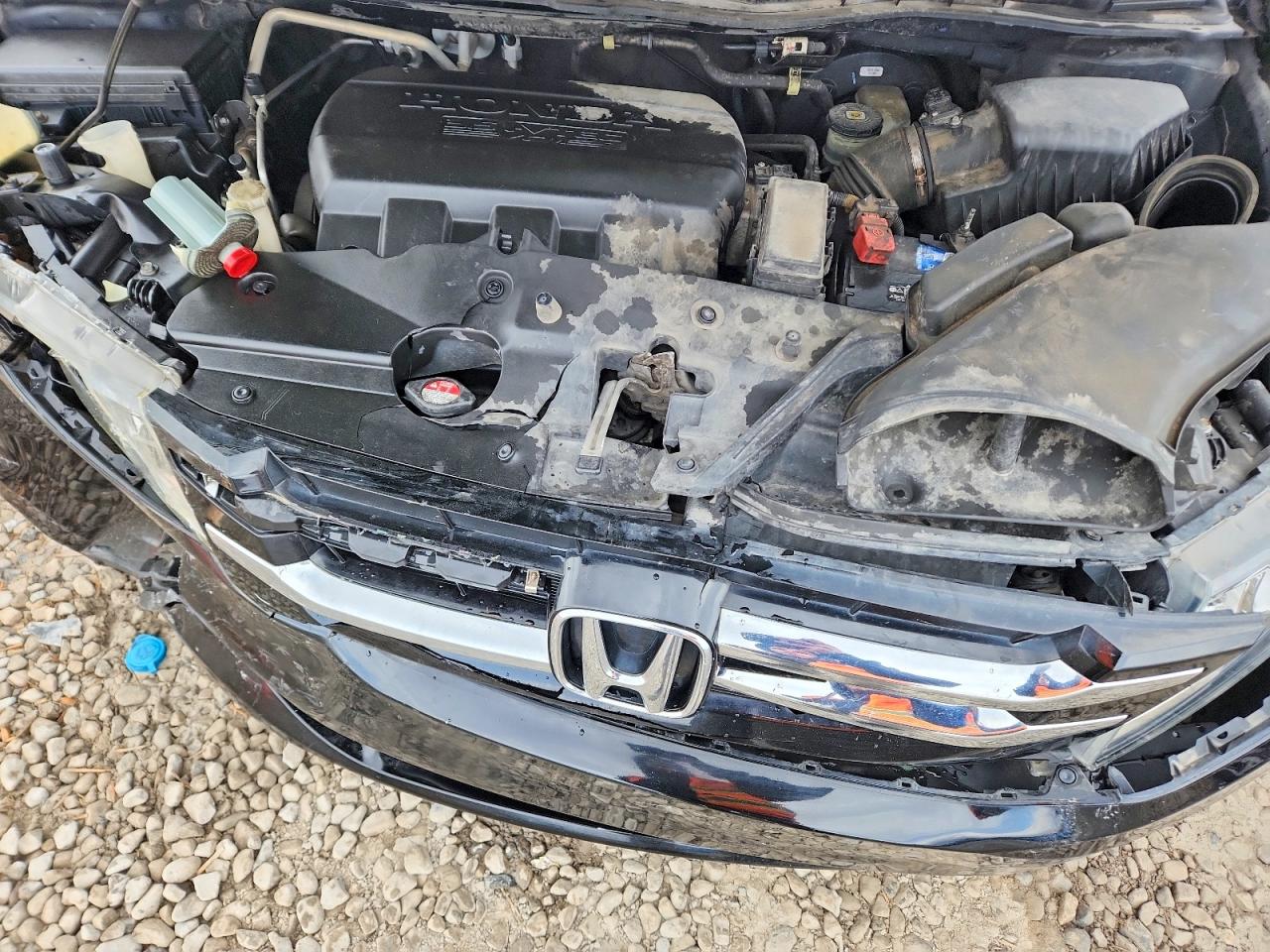 2014 HONDA ODYSSEY EXL photo 12