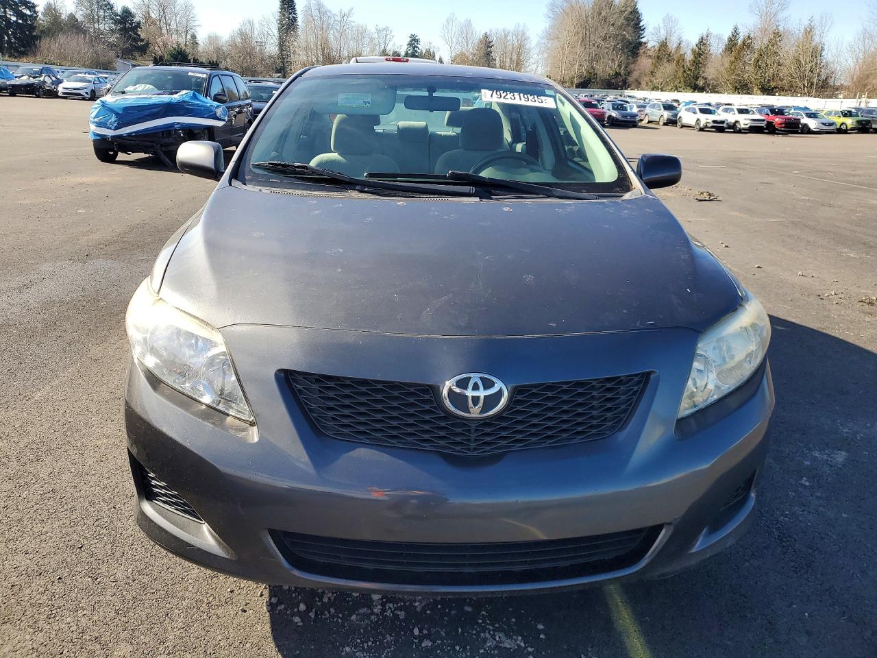 2009 TOYOTA COROLLA LE photo 5