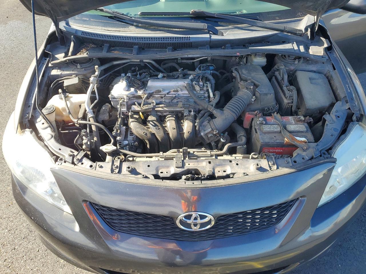 2009 TOYOTA COROLLA LE photo 11