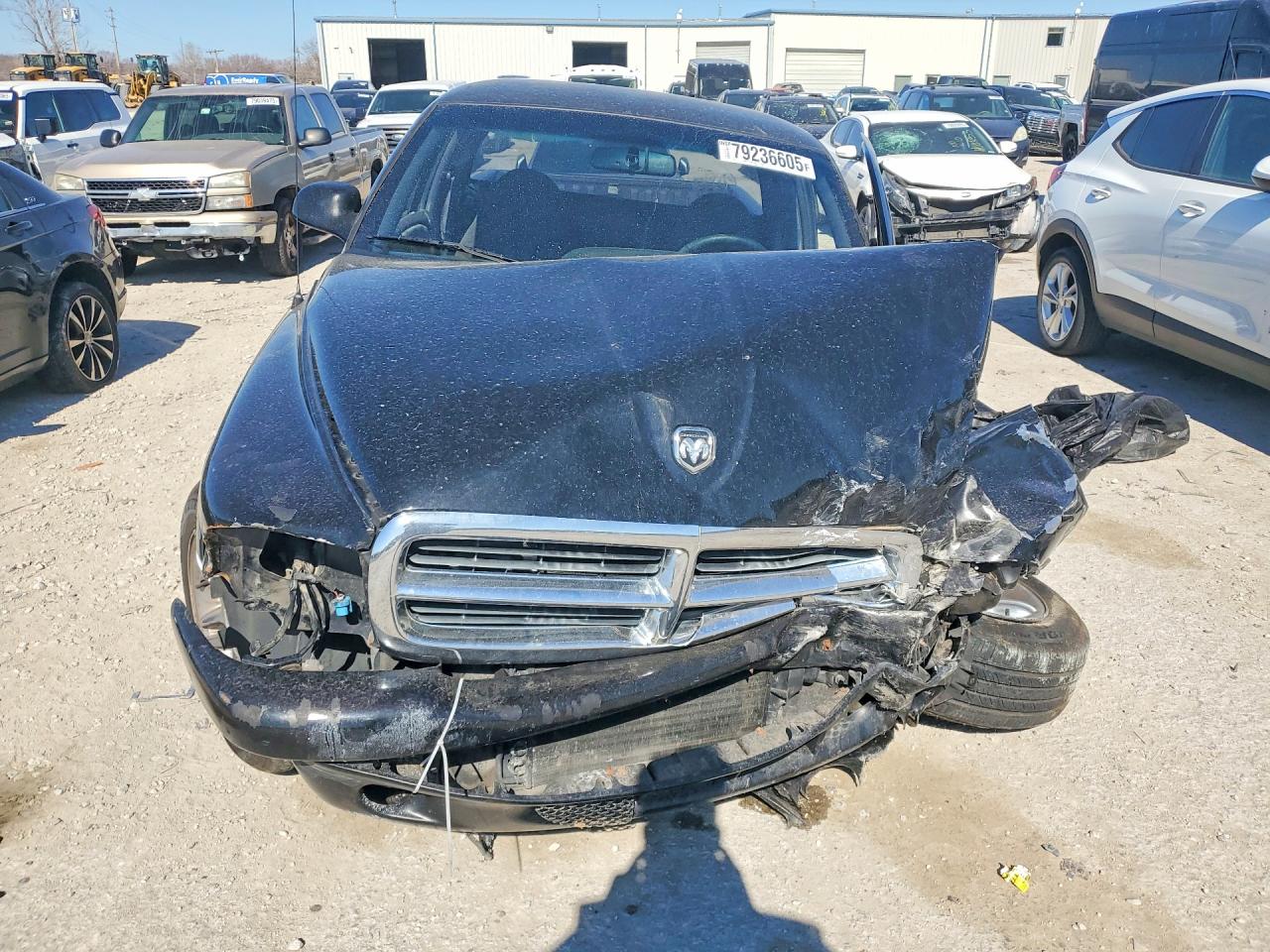 1999 DODGE DAKOTA photo 5