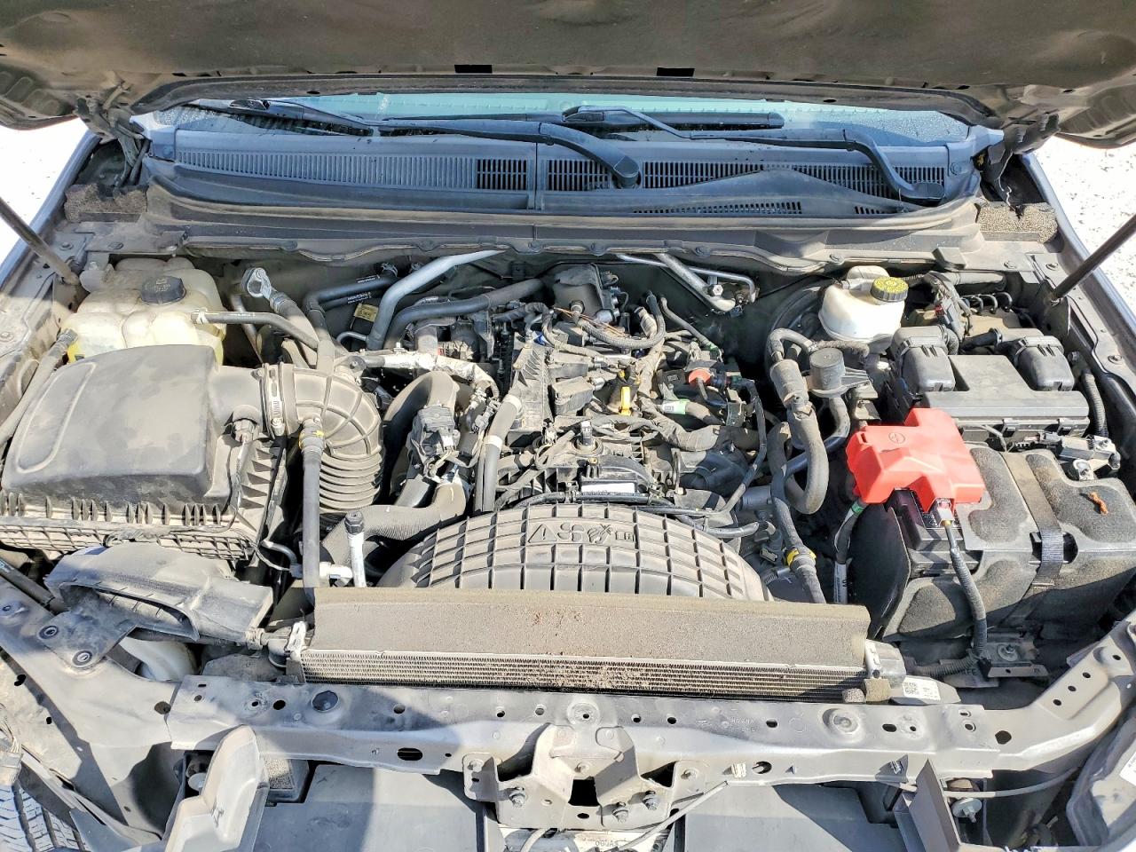 2019 FORD RANGER XL photo 11