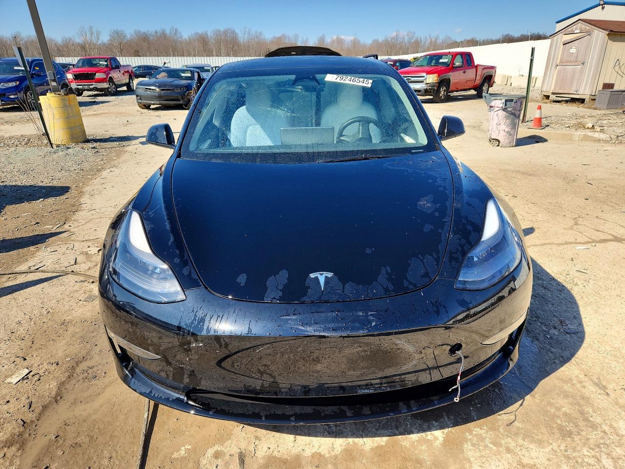 2023 TESLA MODEL 3 photo 13