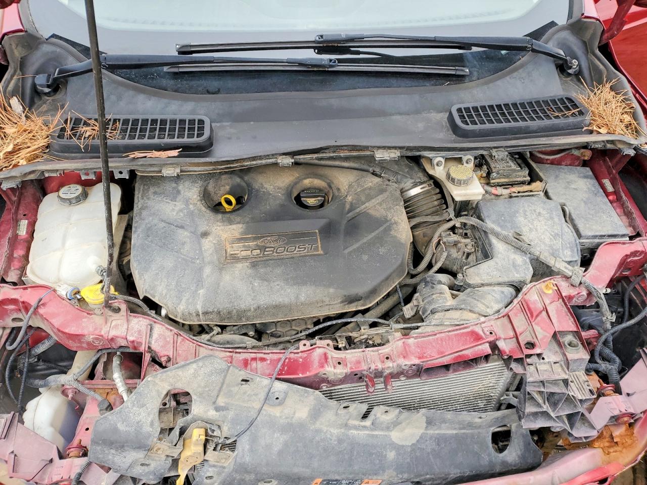 2013 FORD ESCAPE SE photo 12
