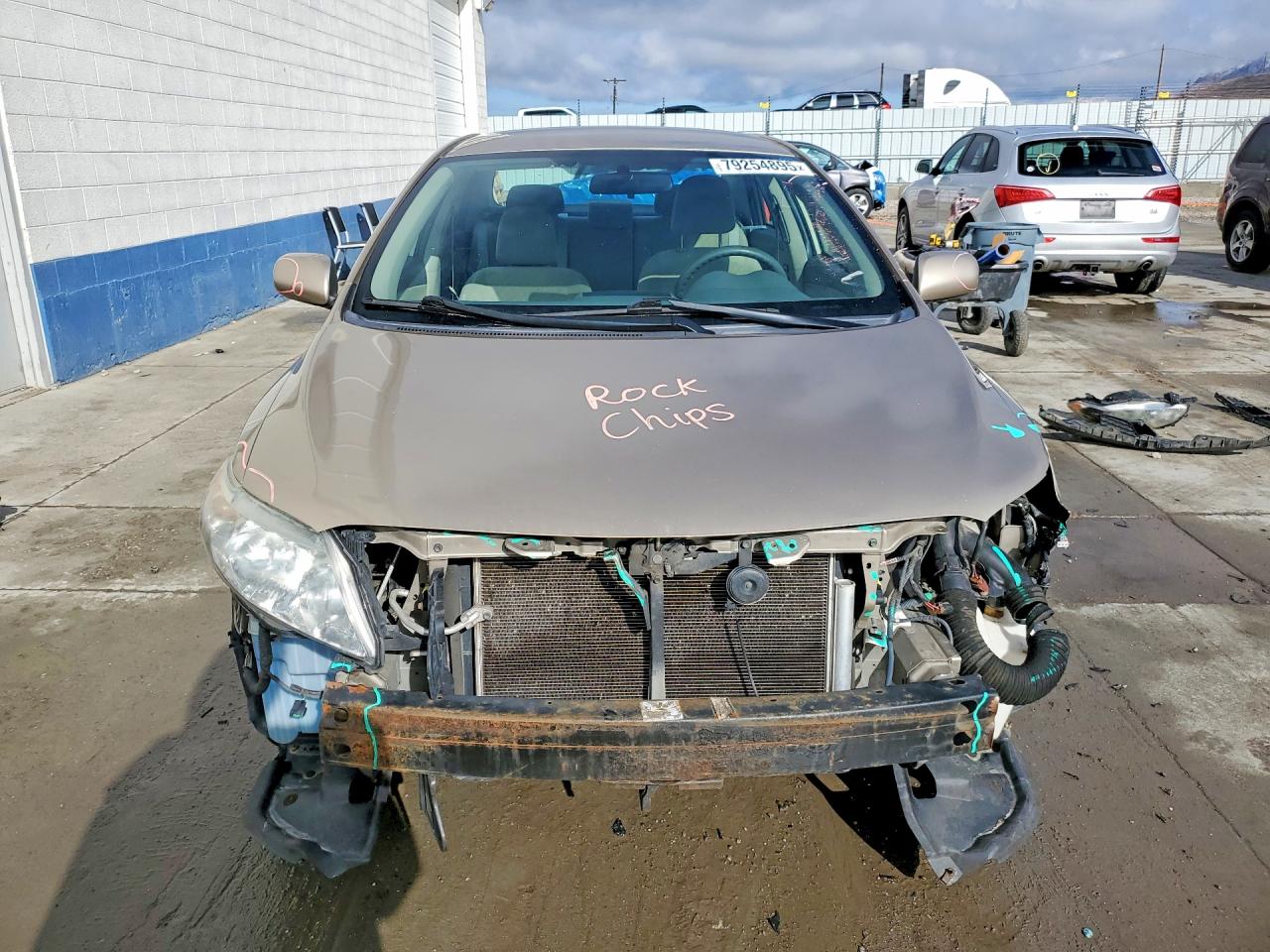 2009 TOYOTA COROLLA LE photo 5