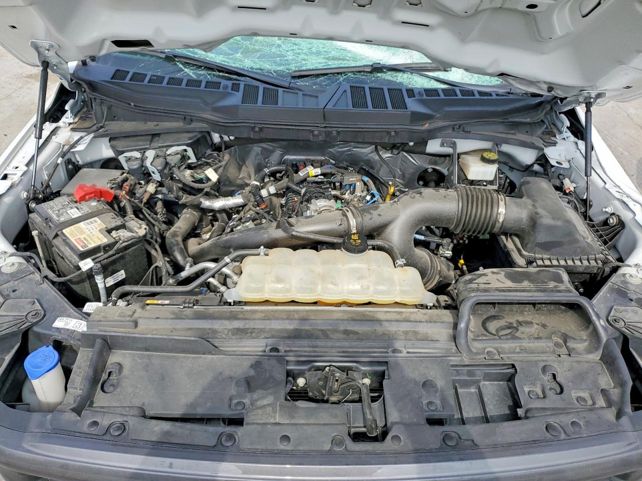 2024 FORD F150 STX photo 11