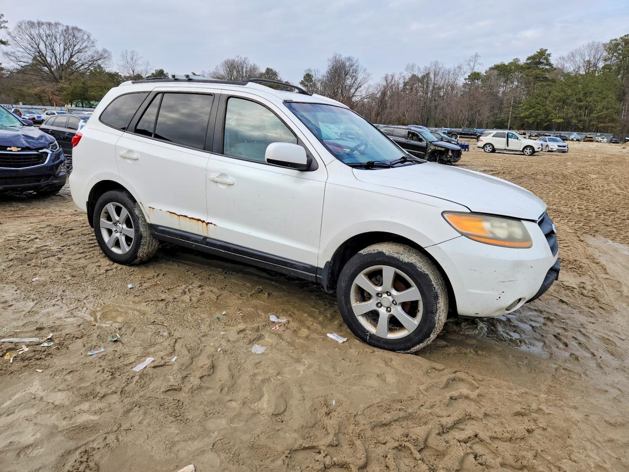 2009 HYUNDAI SANTA FE SE photo 10