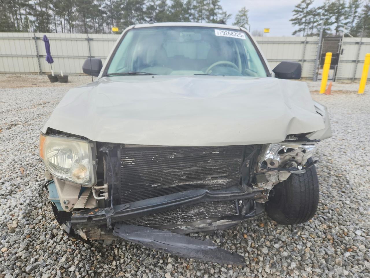 2008 FORD ESCAPE XLT photo 5