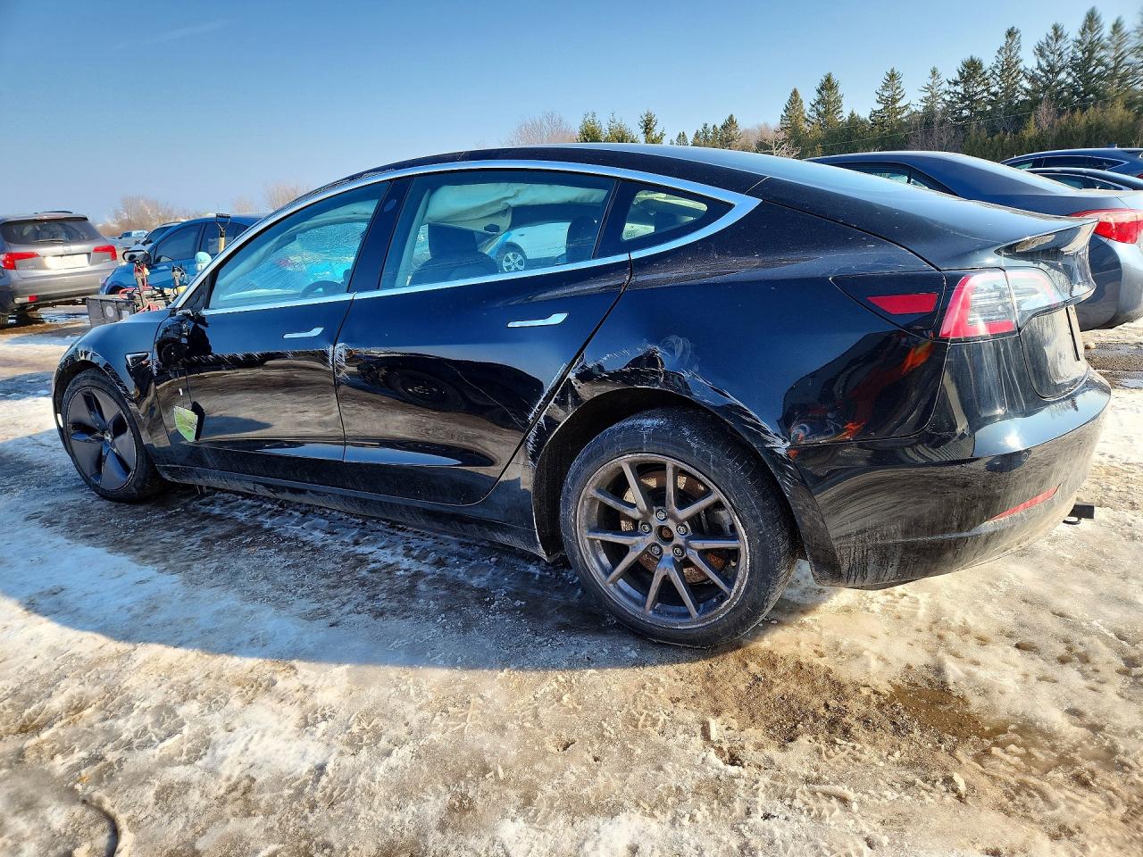2019 TESLA MODEL 3 photo 4