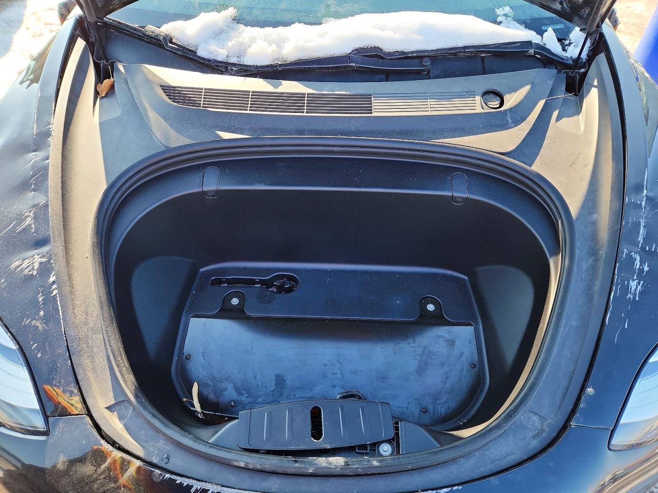 2019 TESLA MODEL 3 photo 31
