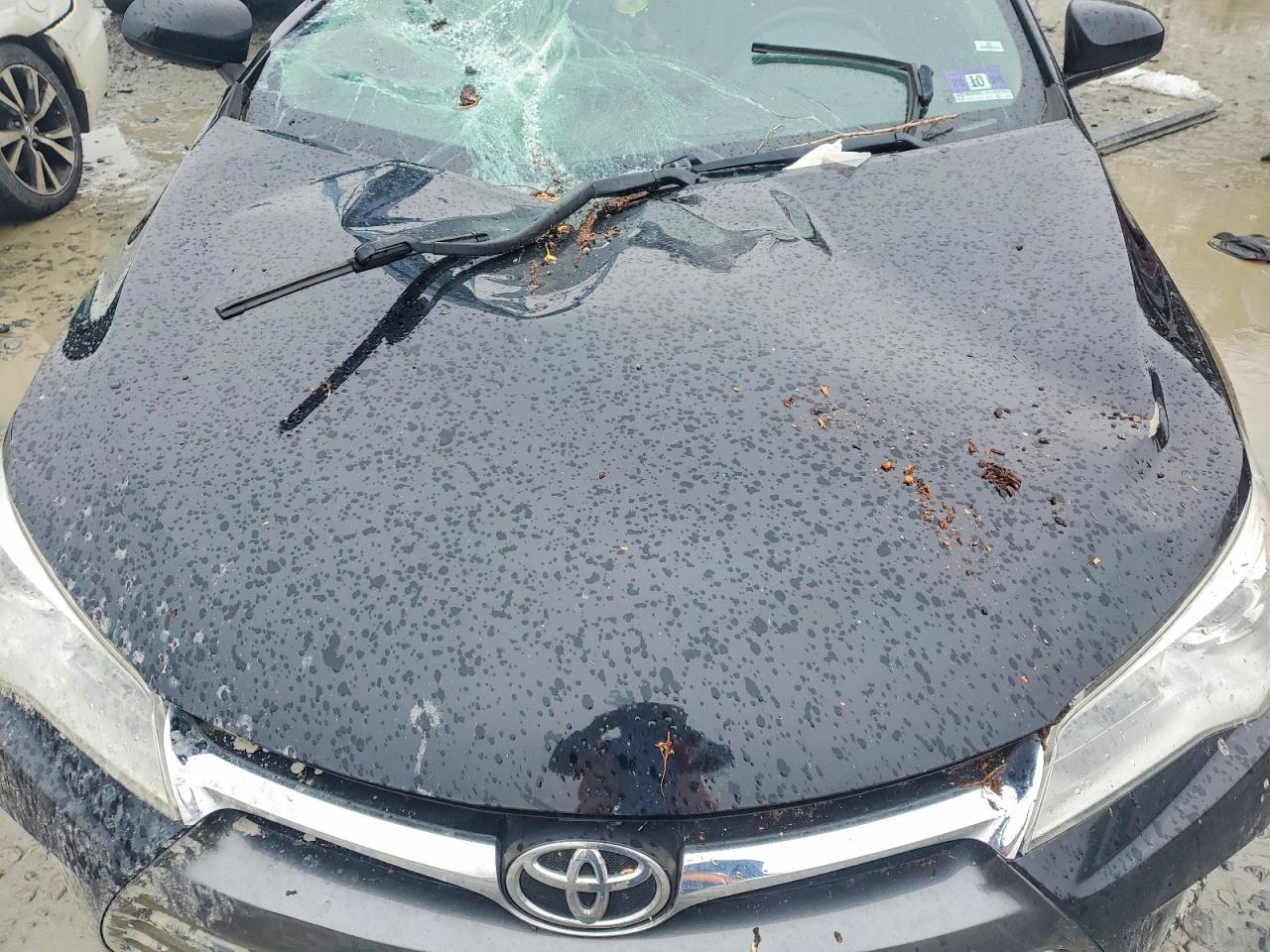 2017 TOYOTA CAMRY XLE photo 11