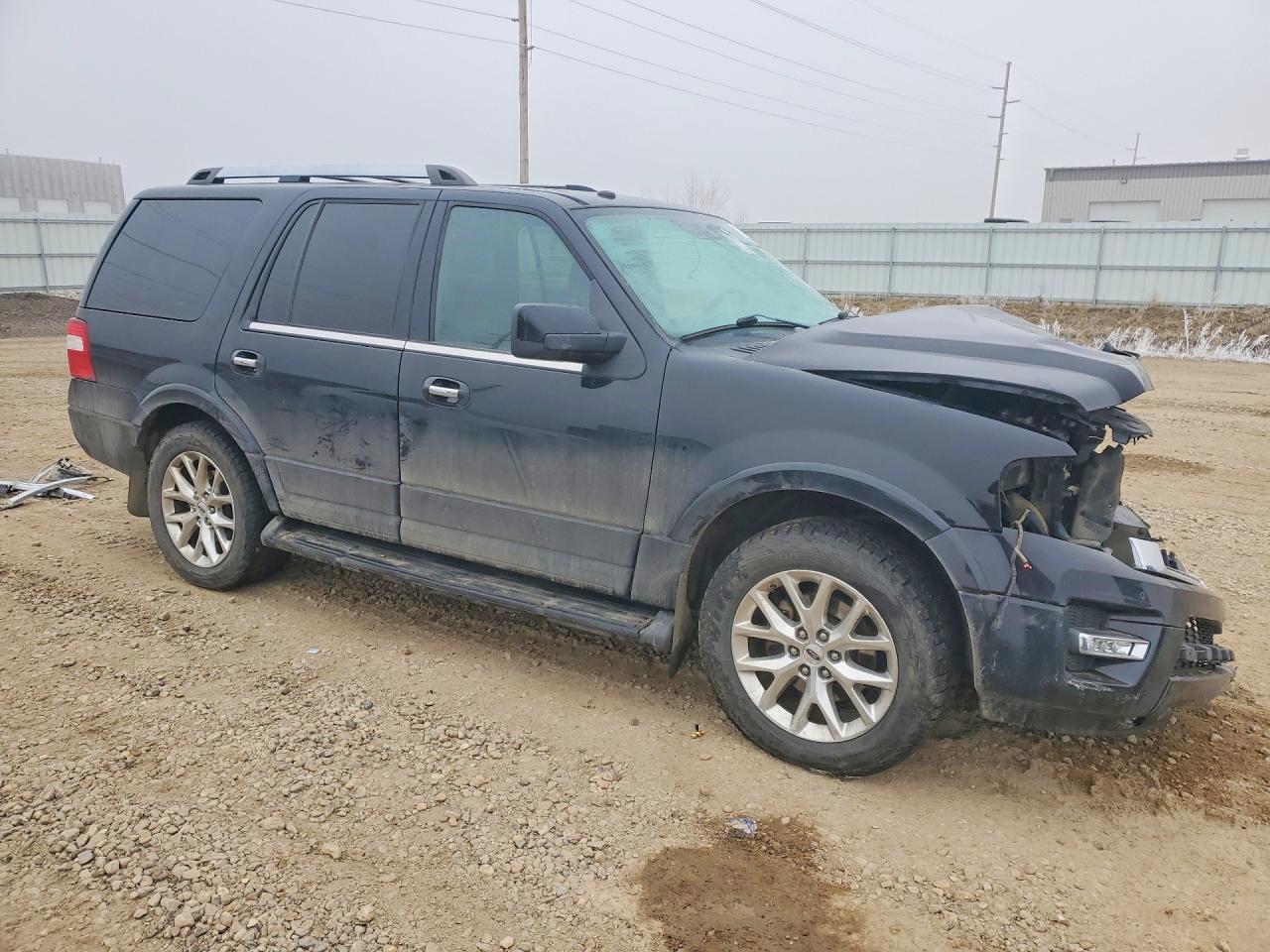 2016 FORD EXPEDITION LIMITED photo 10