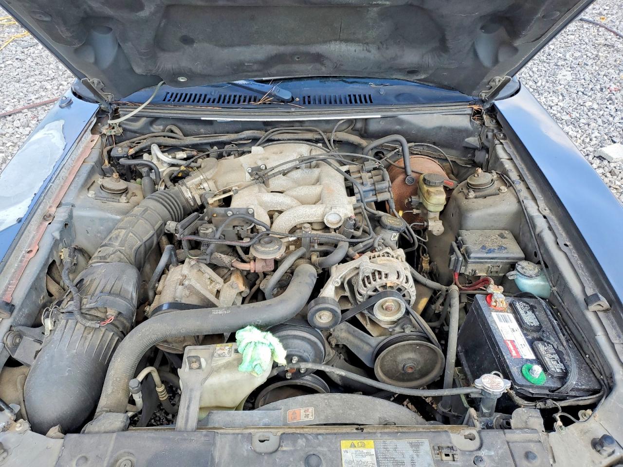 2004 FORD MUSTANG photo 11