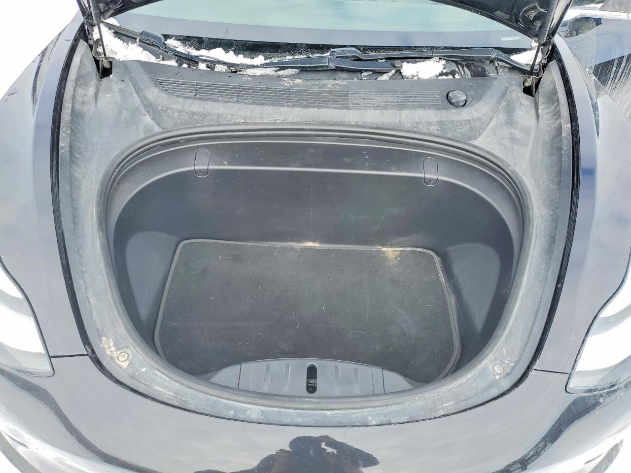 2019 TESLA MODEL 3 photo 19