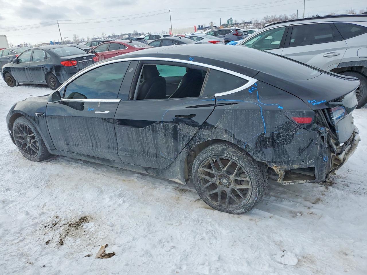 2019 TESLA MODEL 3 photo 3