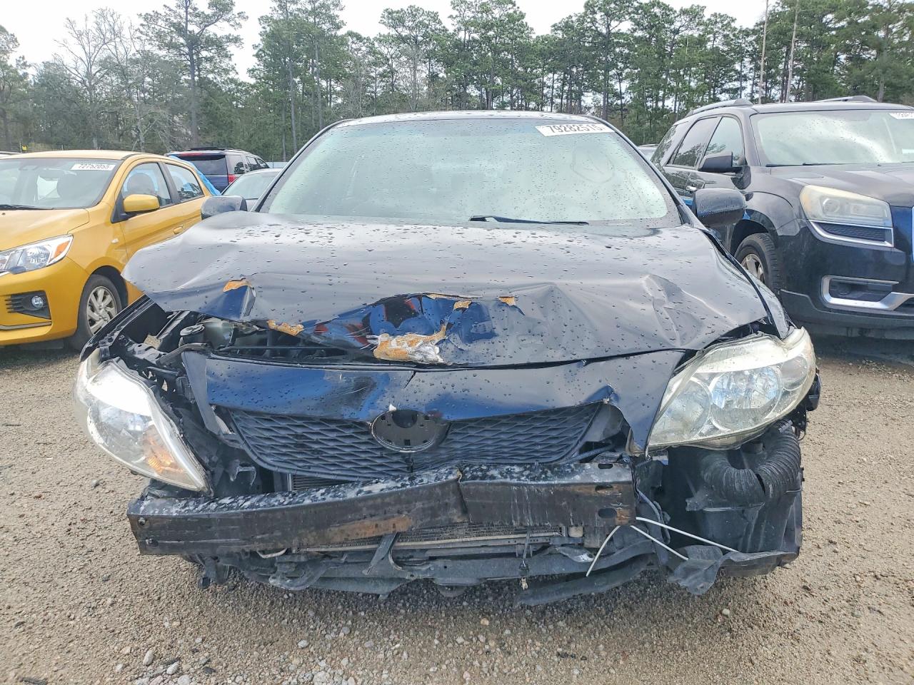 2010 TOYOTA COROLLA LE photo 5