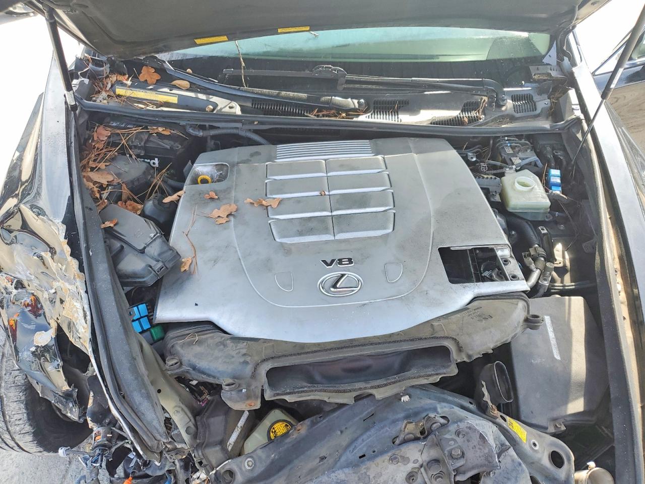 2010 LEXUS LS 460 photo 11