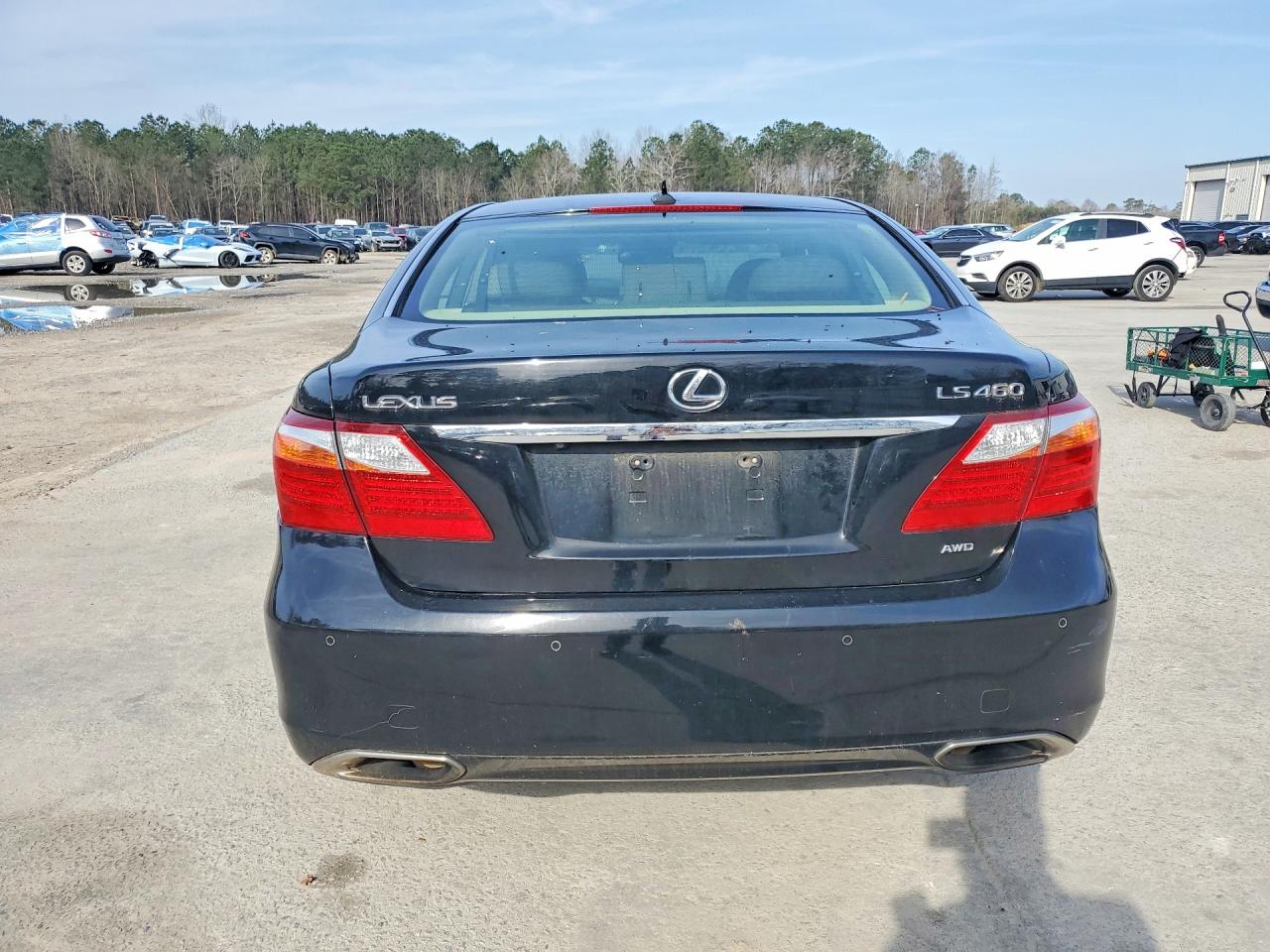 2010 LEXUS LS 460 photo 6