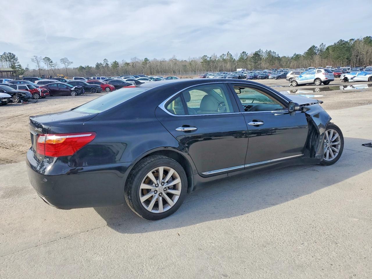 2010 LEXUS LS 460 photo 3